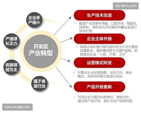 足球球员合同解除费用管理优化方案及实施路径分析